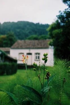 Mamiya DSX 1000 35mm Film Camera With Seekor 55mm F/1.4 Lens -Film Camera Store mamiya dsx 1000 35mm film camera with seekor 55mm f1 4 lens 8