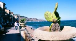 Minolta Dynax 303si AutomatIc SLR 35mm Film Camera With Auto Zoom Lens -Film Camera Store minolta dynax 303si automatic slr 35mm film camera with auto zoom lens 11