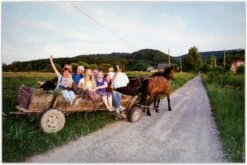 Minolta Dynax 404si Automatic SLR 35mm Film Camera With Auto Zoom Lens -Film Camera Store minolta dynax 404si automatic slr 35mm film camera with auto zoom lens 8