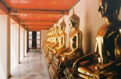 Minolta Dynax 5 Automatic 35mm SLR Film Camera W/ Auto Zoom Lens -Film Camera Store minolta dynax 5 automatic 35mm slr film camera w auto zoom lens 6