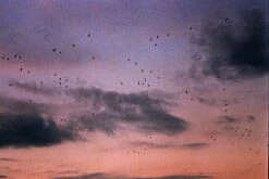 Minolta Dynax 8000i Automatic 35mm SLR Film Camera W/ Auto Zoom Lens 17 Minolta Dynax 8000i Automatic 35mm SLR Film Camera W/ Auto Zoom Lens -Film Camera Store minolta dynax 8000i automatic 35mm slr film camera w auto zoom lens 8