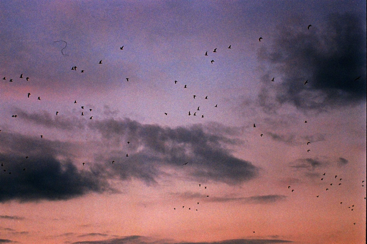 Minolta Dynax 8000i Automatic 35mm SLR Film Camera W/ Auto Zoom Lens 10 Minolta Dynax 8000i Automatic 35mm SLR Film Camera W/ Auto Zoom Lens - Image 8