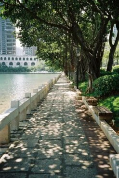 Minolta Riva Zoom 125 35mm Film Camera Point And Shoot 26 Minolta Riva Zoom 125 35mm Film Camera Point And Shoot -Film Camera Store minolta riva zoom 125 35mm film camera point and shoot 9