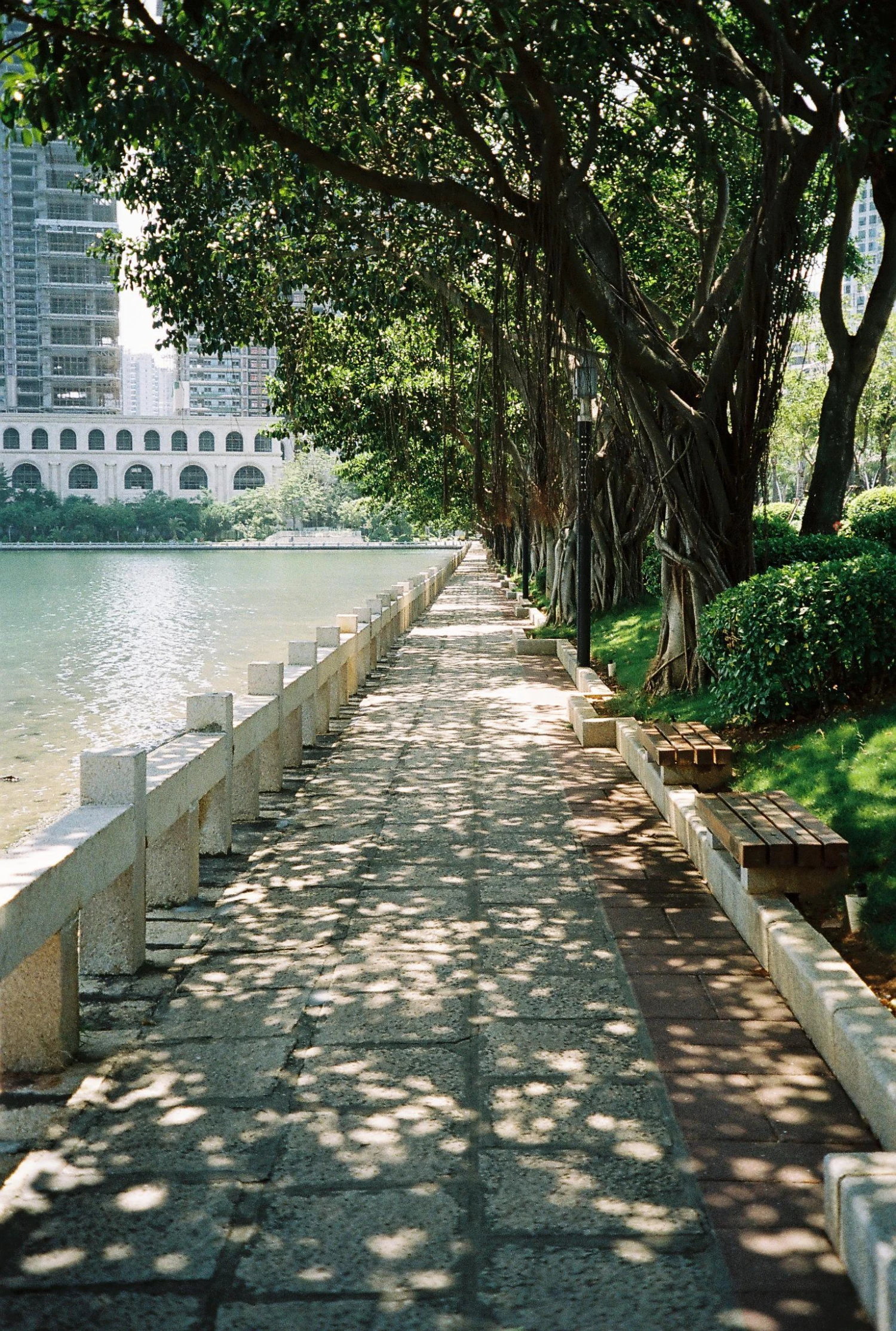 Minolta Riva Zoom 125 35mm Film Camera Point And Shoot 11 Minolta Riva Zoom 125 35mm Film Camera Point And Shoot - Image 9