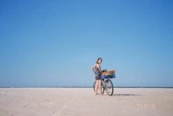 Minolta Riva Zoom 135EX 35mm Film Camera Point And Shoot -Film Camera Store minolta riva zoom 135ex 35mm film camera point and shoot 11