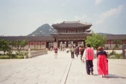 Minolta Riva Zoom 140 35mm Film Camera Point And Shoot -Film Camera Store minolta riva zoom 140 35mm film camera point and shoot 17