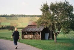 Minolta Riva Zoom 140 35mm Film Camera Point And Shoot -Film Camera Store minolta riva zoom 140 35mm film camera point and shoot 7