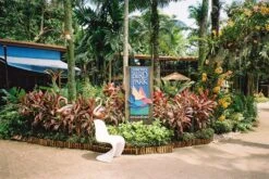 Minolta Riva Zoom 75W 35mm Film Camera Point And Shoot 31 Minolta Riva Zoom 75W 35mm Film Camera Point And Shoot -Film Camera Store minolta riva zoom 75w 35mm film camera point and shoot 10