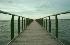 Minolta X-300 Black SLR 35mm Film Camera With Prime Lens (change Photo) -Film Camera Store minolta x 300 black slr 35mm film camera with prime lens change photo 10