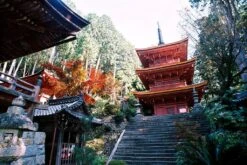 Minolta X-500 SLR 35mm Film Camera With Auto Zoom Lens -Film Camera Store minolta x 500 slr 35mm film camera with auto zoom lens 12