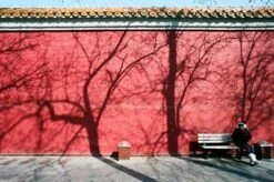 Minolta X-500 SLR 35mm Film Camera With Auto Zoom Lens -Film Camera Store minolta x 500 slr 35mm film camera with auto zoom lens 8