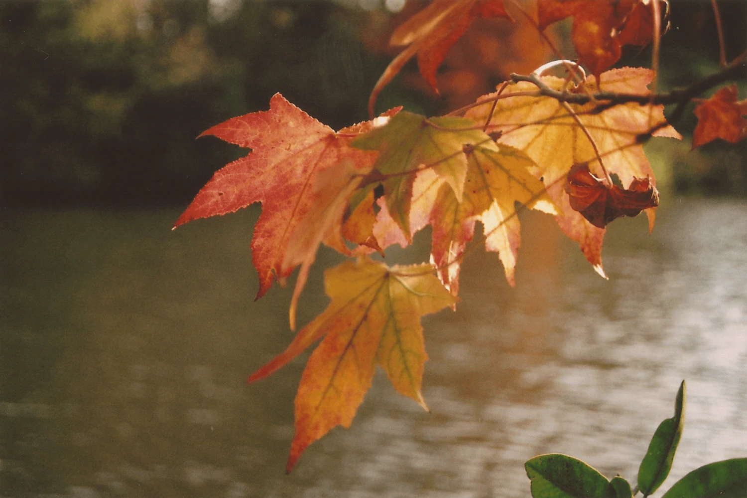 Miranda 28mm F/2.8 Camera Lens 9 Miranda 28mm F/2.8 Camera Lens - Image 7