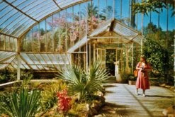 Mystery 35mm Film Bundle (Set Of 4) 14 Mystery 35mm Film Bundle (Set Of 4) -Film Camera Store mystery 35mm film bundle set of 4 4