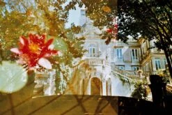 Mystery 35mm Film Bundle (Set Of 4) 17 Mystery 35mm Film Bundle (Set Of 4) -Film Camera Store mystery 35mm film bundle set of 4 7