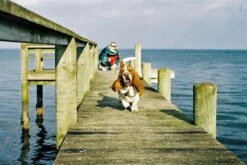 Nikomat EL Vintage 35mm SLR Film Camera W/ Nikkor-S F/2.8 35mm Lens -Film Camera Store nikomat el vintage 35mm slr film camera w nikkor s f2 8 35mm lens 11