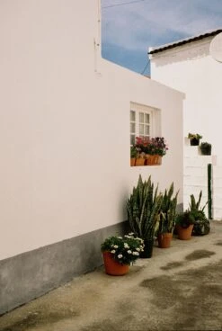 Nikon-AF240SV 35mm Point N Shoot Film Camera -Film Camera Store nikon af240sv 35mm point n shoot film camera 12