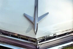 Nikon-AF240SV 35mm Point N Shoot Film Camera -Film Camera Store nikon af240sv 35mm point n shoot film camera 8