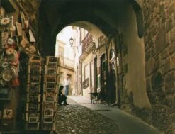 Nikon EM 35mm SLR Film Camera - Body Only 21 Nikon EM 35mm SLR Film Camera - Body Only -Film Camera Store nikon em 35mm slr film camera body only 8