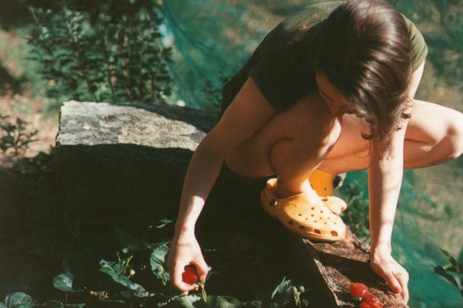 Nikon EM 35mm SLR Film Camera - Body Only 11 Nikon EM 35mm SLR Film Camera - Body Only - Image 9