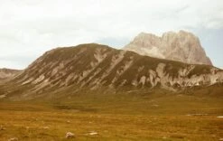 Nikon F55 35mm SLR Film Camera W/ 28-80mm Lens -Film Camera Store nikon f55 35mm slr film camera with 28 80mm lens 8