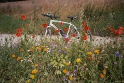 Nikon FE (Black) 35mm SLR Film Camera With Nikkor 50mm F1.8 Lens -Film Camera Store nikon fe black 35mm slr film camera with nikkor 50mm f1 8 lens 10