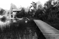 Nikon FE (Silver) 35mm SLR Film Camera With Nikkor 50mm F1.8 Lens -Film Camera Store nikon fe silver 35mm slr film camera with nikkor 50mm f1 8 lens 15