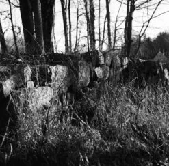 Nikon FE (Silver) 35mm SLR Film Camera With Nikkor 50mm F1.8 Lens -Film Camera Store nikon fe silver 35mm slr film camera with nikkor 50mm f1 8 lens 17