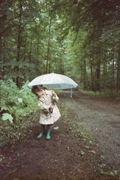 Nikon Lite Touch Zoom 300 AF 35mm Film Camera Point And Shoot -Film Camera Store nikon lite touch zoom 300 af 35mm film camera point and shoot 11