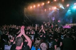 Olympus AF-1 35mm Film Camera Point And Shoot 31 Olympus AF-1 35mm Film Camera Point And Shoot -Film Camera Store olympus af 1 35mm film camera point and shoot 11