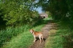 Olympus AF-1 TWIN 35mm Film Camera Point And Shoot 21 Olympus AF-1 TWIN 35mm Film Camera Point And Shoot -Film Camera Store olympus af 1 twin 35mm film camera point and shoot 7