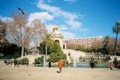 Olympus AF 10 35mm Film Camera Point And Shoot -Film Camera Store olympus af 10 35mm film camera point and shoot 9