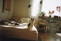 Olympus AF 10 Mini 35mm Film Camera Point And Shoot -Film Camera Store olympus af 10 mini 35mm film camera point and shoot 17