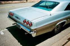 Olympus AM 100 35mm Film Camera Point And Shoot -Film Camera Store olympus am 100 35mm film camera point and shoot 14