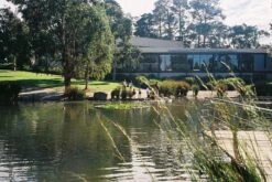 Olympus Mju Zoom 105 35mm Film Camera Point And Shoot -Film Camera Store olympus mju zoom 105 35mm film camera point and shoot 9