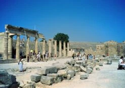 Olympus Shoot & Go 35mm Film Camera Point And Shoot 27 Olympus Shoot & Go 35mm Film Camera Point And Shoot -Film Camera Store olympus shoot and go r 35mm film camera point and shoot 12