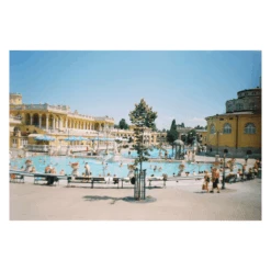 Olympus Shoot & Go 35mm Film Camera Point And Shoot 23 Olympus Shoot & Go 35mm Film Camera Point And Shoot -Film Camera Store olympus shoot and go r 35mm film camera point and shoot 8