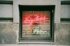 Olympus Superzoom 76S 35mm Film Camera Point And Shoot 17 Olympus Superzoom 76S 35mm Film Camera Point And Shoot -Film Camera Store olympus superzoom 76s 35mm film camera point and shoot 5