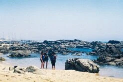 Olympus Superzoom 800S 35mm Film Camera Point And Shoot -Film Camera Store olympus superzoom 800s 35mm film camera point and shoot 7