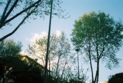 Olympus Trip 300 / Trip 301 35mm Film Camera Point And Shoot 34 Olympus Trip 300 / Trip 301 35mm Film Camera Point And Shoot -Film Camera Store olympus trip 300 trip 301 35mm film camera point and shoot 16