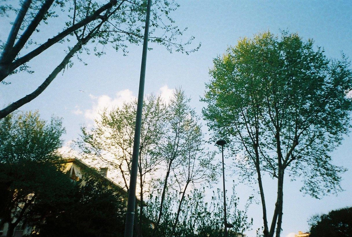 Olympus Trip 300 / Trip 301 35mm Film Camera Point And Shoot 18 Olympus Trip 300 / Trip 301 35mm Film Camera Point And Shoot - Image 16