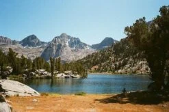 Olympus Trip 35 Black Point And Shoot 35mm Film Camera -Film Camera Store olympus trip 35 black point and shoot 35mm film camera 13