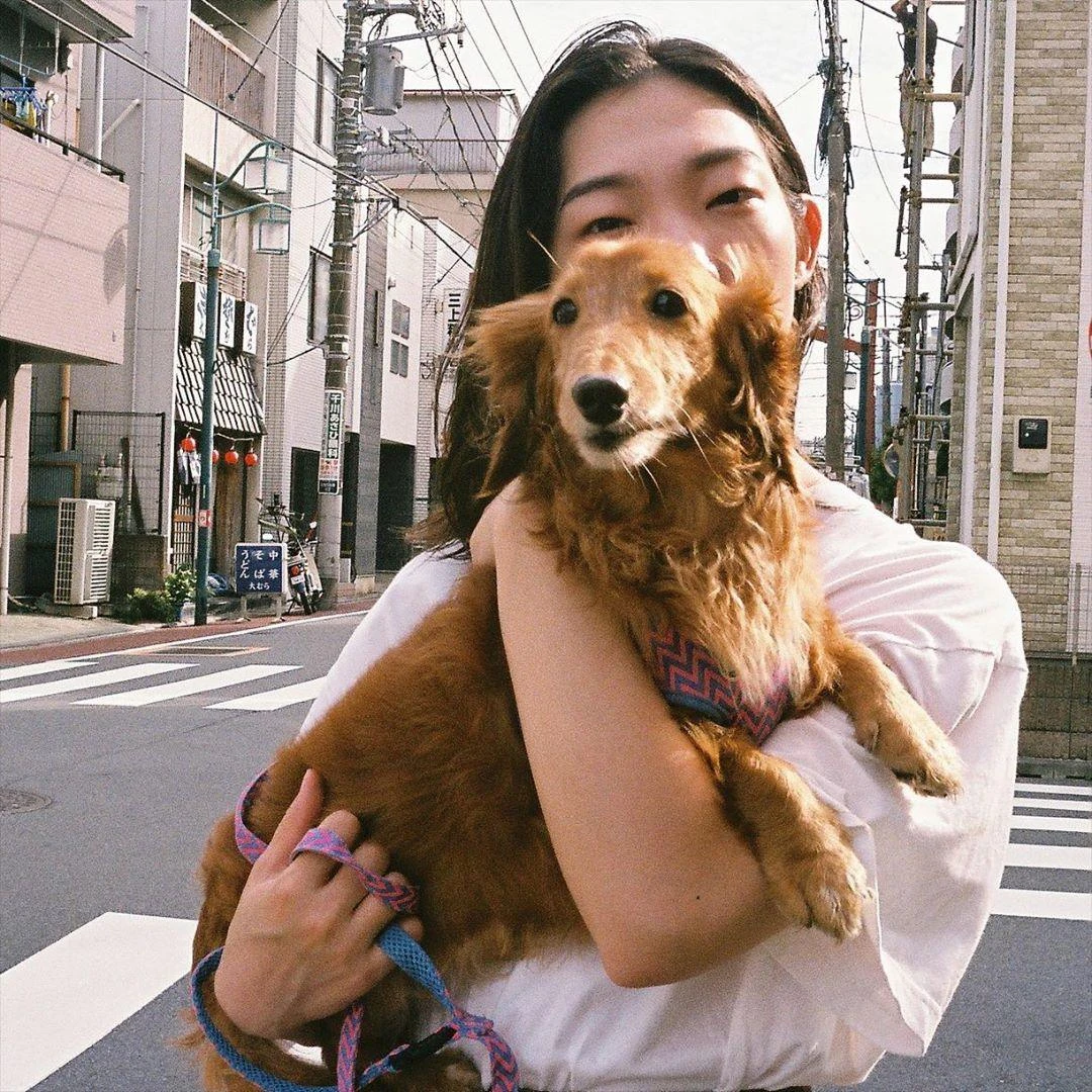 Olympus Trip 35 Green Leather Skin Point And Shoot 35mm Film Camera 17 Olympus Trip 35 Green Leather Skin Point And Shoot 35mm Film Camera - Image 15