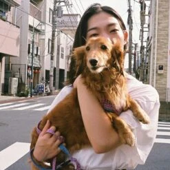 Olympus Trip 35 Soft Beige Leather Point And Shoot 35mm Film Camera 31 Olympus Trip 35 Soft Beige Leather Point And Shoot 35mm Film Camera -Film Camera Store olympus trip 35 soft beige leather point and shoot 35mm film camera 14