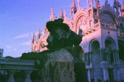 Olympus Trip 35 Watermelon Leather Point And Shoot 35mm Film Camera -Film Camera Store olympus trip 35 watermelon leather point and shoot 35mm film camera 9