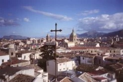 Olympus Trip AF Mini 35mm Film Camera Point And Shoot -Film Camera Store olympus trip af mini 35mm film camera point and shoot 10