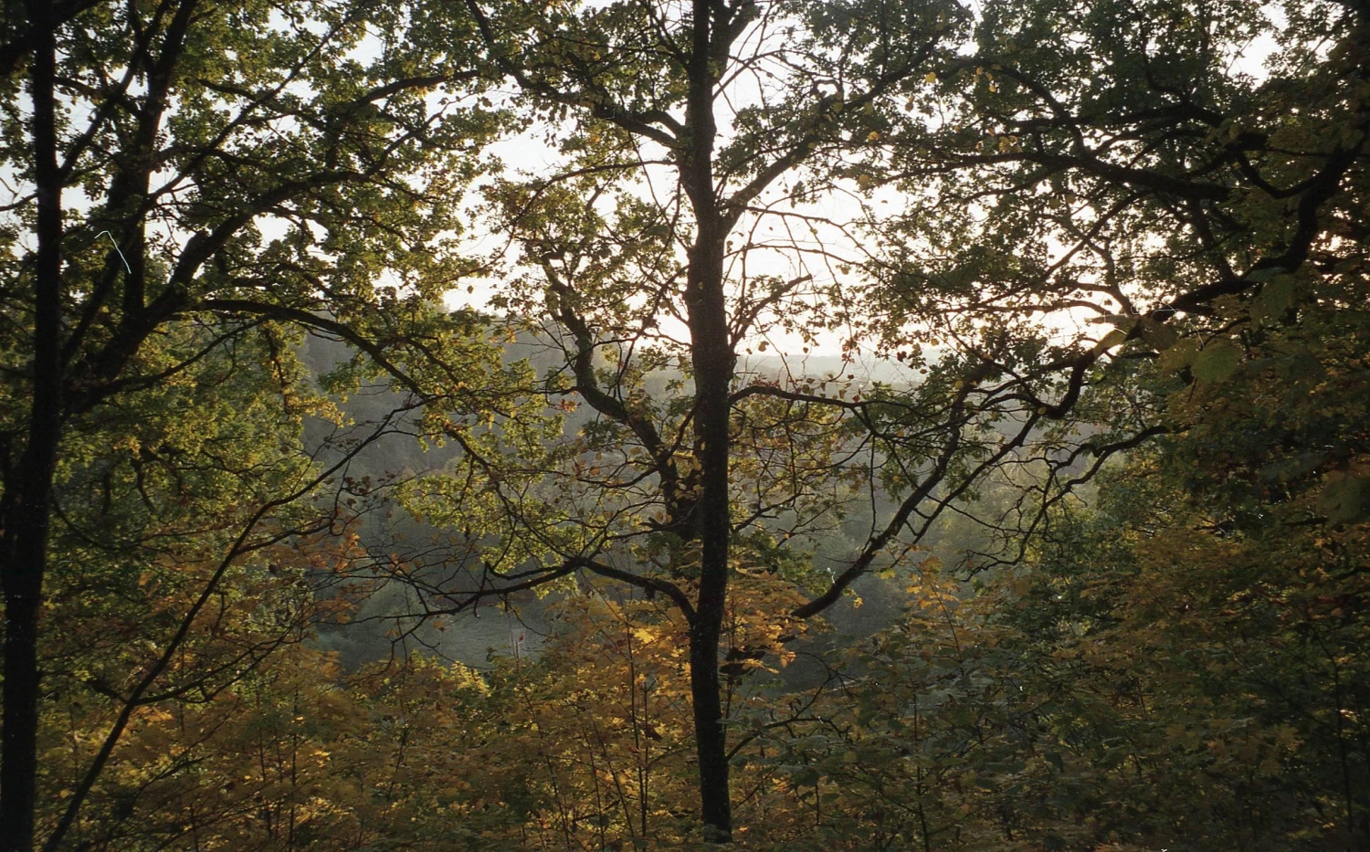 Pentax ESPIO 738 SILVER 35mm Film Camera Point And Shoot 10 Pentax ESPIO 738 SILVER 35mm Film Camera Point And Shoot - Image 8