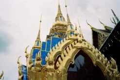 Pentax Espio Mini 35mm Point And Shoot Film Camera -Film Camera Store pentax espio mini 35mm point and shoot film camera 8