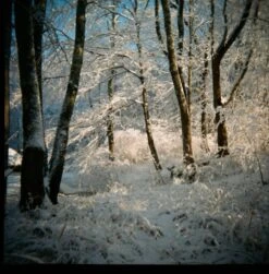 Pentax K1000 Brown Leather Vintage SLR 35mm Film Camera With Pentax F/2 50mm Prime Lens. -Film Camera Store pentax k1000 brown leather vintage slr 35mm film camera with pentax f2 50mm prime lens 11