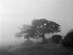 Pentax K1000 Brown Leather Vintage SLR 35mm Film Camera With Pentax F/2 50mm Prime Lens. -Film Camera Store pentax k1000 brown leather vintage slr 35mm film camera with pentax f2 50mm prime lens 9