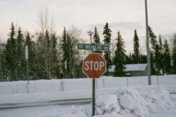 Pentax K1000 Yellow Leather Vintage SLR 35mm Film Camera With Pentax F/2 50mm Prime Lens. -Film Camera Store pentax k1000 yellow leather vintage slr 35mm film camera with pentax f2 50mm prime lens 7